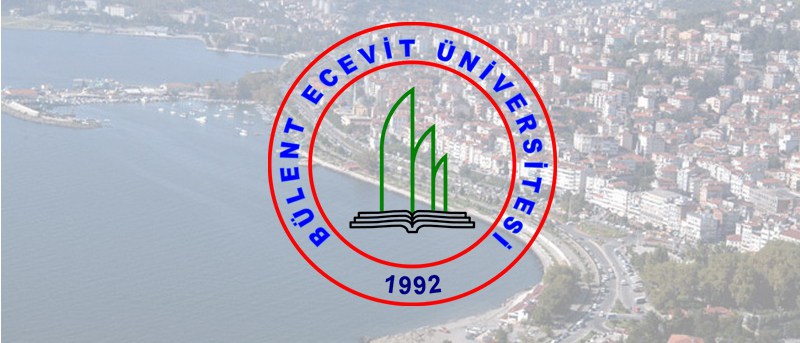 Zonguldak Bulent Ecevit Universitesi Yuksek Lisans Ve Doktora Ilani Akademikadro Net