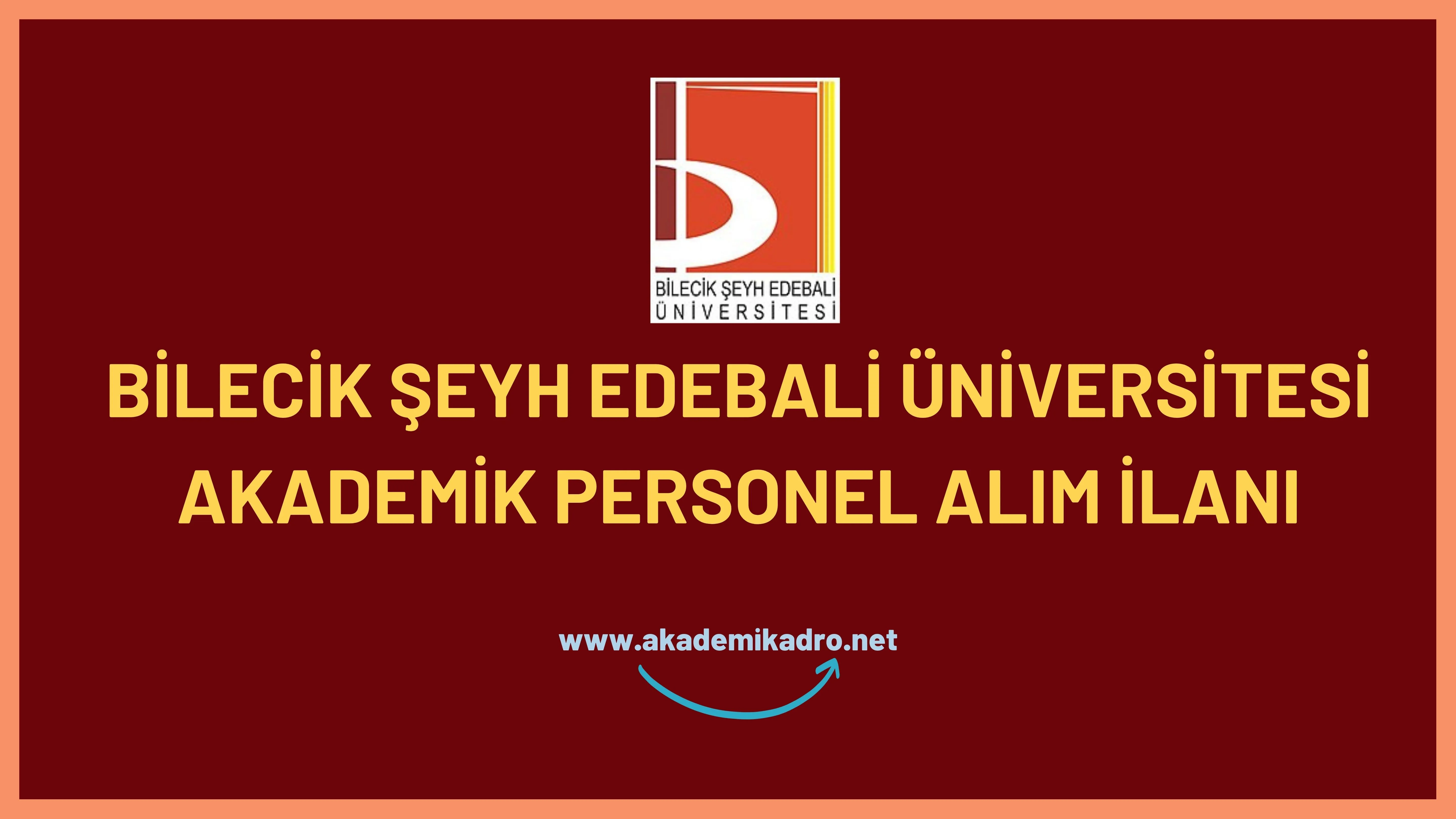 Bilecik Şeyh Edebali Üniversitesi birçok alandan 27 akademik personel alacak.