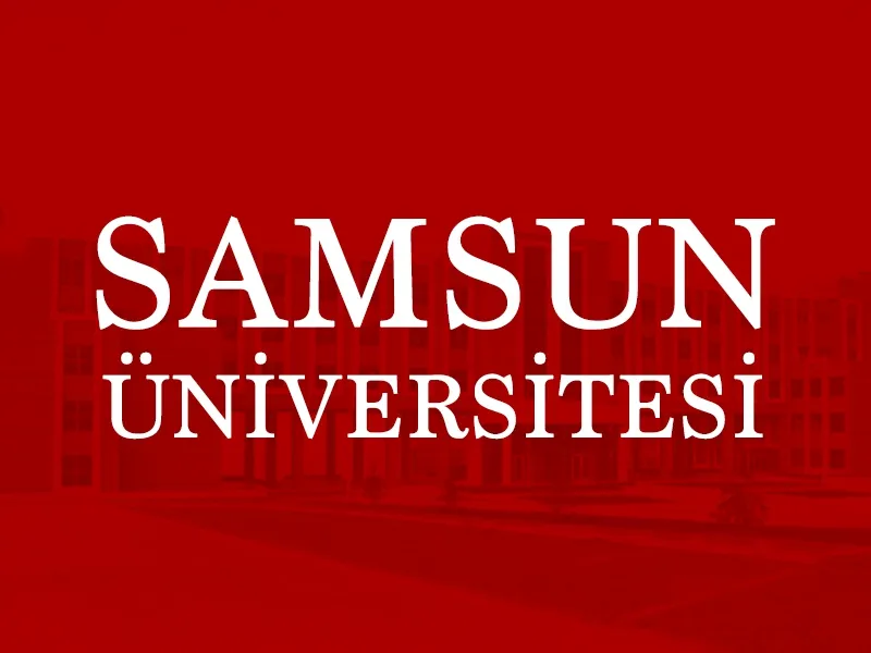 Samsun Üniversitesi 20 akademik personel alacak